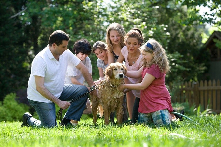 family enjoying outdoor time washing their pet dog
